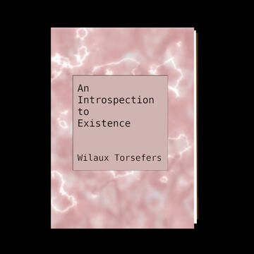 An Introspection to Existence - Mind, Matter, and Aether